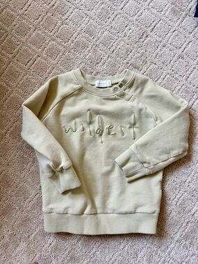 Jamie Kay Pale Green 'Wildest' Embroidered Crew Sweatshirt